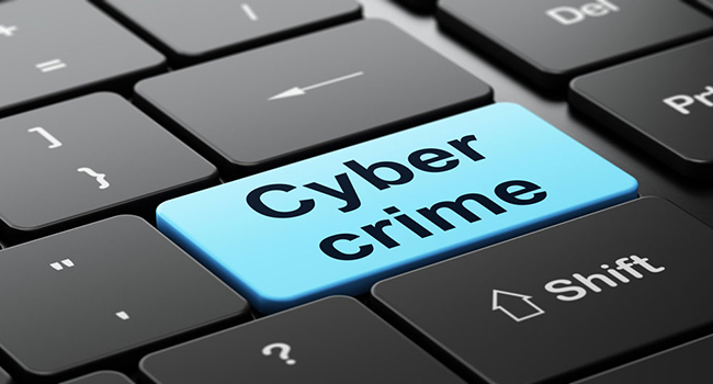 افزایش محبوبیت جرائم سایبری در میان جوانان