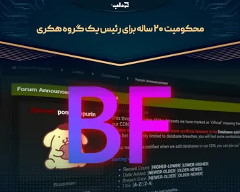 محکومیت ۲۰ ساله برای رئیس یک گروه هکری