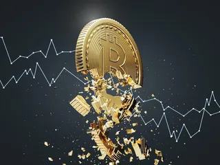 ارز‌های دیجیتال باید از بین بروند